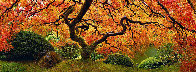 Tree of Zen 2M Super Huge Panorama by Peter Lik - 1 Tree of Zen 2M Super Huge Panorama by Peter Lik - 1