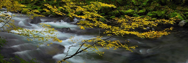 beach pier, Peter Lik, Endless Dreams by Peter Lik - For Sale on