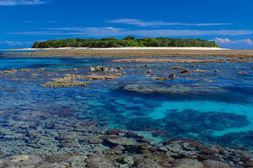 Coral Island  (small ed 100) (Lady Musgrave Island, Great Barrier Reef 1,5M Huge Australia Panorama - Peter Lik