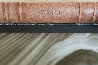 25 Year Anniversary Big Book Other by Peter Lik - 9 25 Year Anniversary Big Book Other by Peter Lik - 9