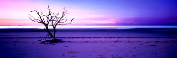 Solitude Panorama - Peter Lik Solitude Panorama - Peter Lik