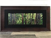 Painted Forest Panorama by Peter Lik - 1 Painted Forest Panorama by Peter Lik - 1