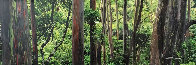 Painted Forest Panorama by Peter Lik - 2