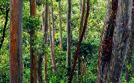 Painted Forest Panorama by Peter Lik - 0
