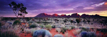Painted Skies (Kata Tjuta NP, Australia) AP 1.5M Huge Panorama - Peter Lik Painted Skies (Kata Tjuta NP, Australia) AP 1.5M Huge Panorama - Peter Lik