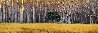 Golden Silence 2M Super Huge Panorama by Peter Lik - 1 Golden Silence 2M Super Huge Panorama by Peter Lik - 1
