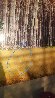 Golden Silence 2M Super Huge Panorama by Peter Lik - 2 Golden Silence 2M Super Huge Panorama by Peter Lik - 2