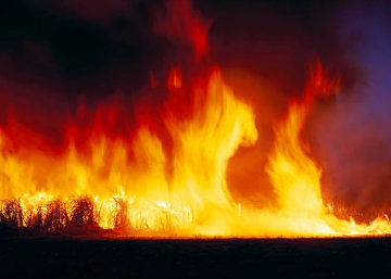 Firedance Huge 2M Mural Size Panorama - Peter Lik Firedance Huge 2M Mural Size Panorama - Peter Lik