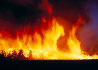 Fire Dance 2.2M - Huge Mural Size Panorama by Peter Lik - 1