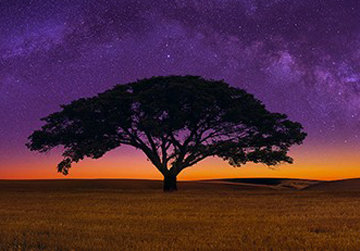 Celestial Dreams 1.5M Huge! Panorama - Peter Lik Celestial Dreams 1.5M Huge! Panorama - Peter Lik