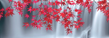 Scarlet Falls Panorama - Peter Lik Scarlet Falls Panorama - Peter Lik