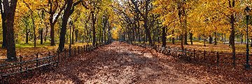 Central Park Panorama - Peter Lik Central Park Panorama - Peter Lik