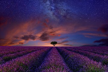 Spirit of the Universe Panorama - Peter Lik Spirit of the Universe Panorama - Peter Lik