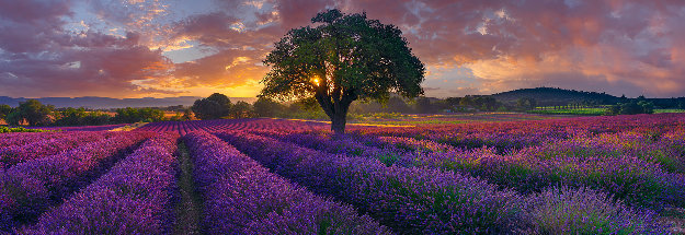 Morning in France AP by Peter Lik
