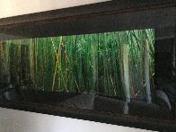 Bamboo 2M Huge Panorama by Peter Lik - 4