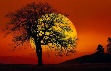 In Search of the Sun Panorama - Peter Lik