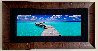 Island Dreams 1M - Huge - Cigar Leaf Frame Panorama by Peter Lik - 1