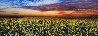 Summer Dreams 1.5M Huge! Panorama by Peter Lik - 0