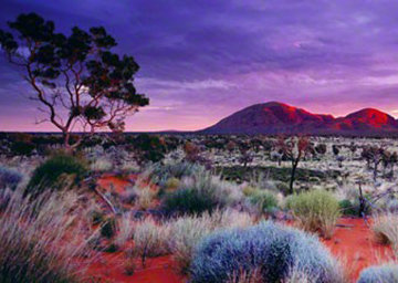 Painted Skies (Kata Tjuta National Park, Australia) AP 1.5M Huge! Panorama - Peter Lik Painted Skies (Kata Tjuta National Park, Australia) AP 1.5M Huge! Panorama - Peter Lik