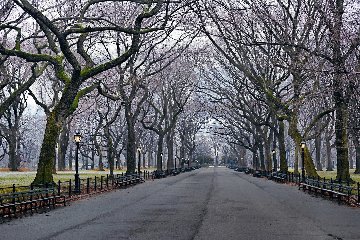 Sunday, 5:47am 1.5M Huge Panorama - Peter Lik Sunday, 5:47am 1.5M Huge Panorama - Peter Lik