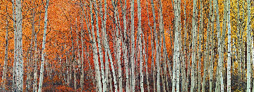 Harmony (Aspen, Colorado) 2M Super Huge! Panorama - Peter Lik Harmony (Aspen, Colorado) 2M Super Huge! Panorama - Peter Lik