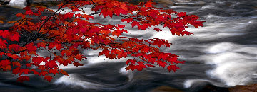 River of Zen Panorama - Peter Lik River of Zen Panorama - Peter Lik