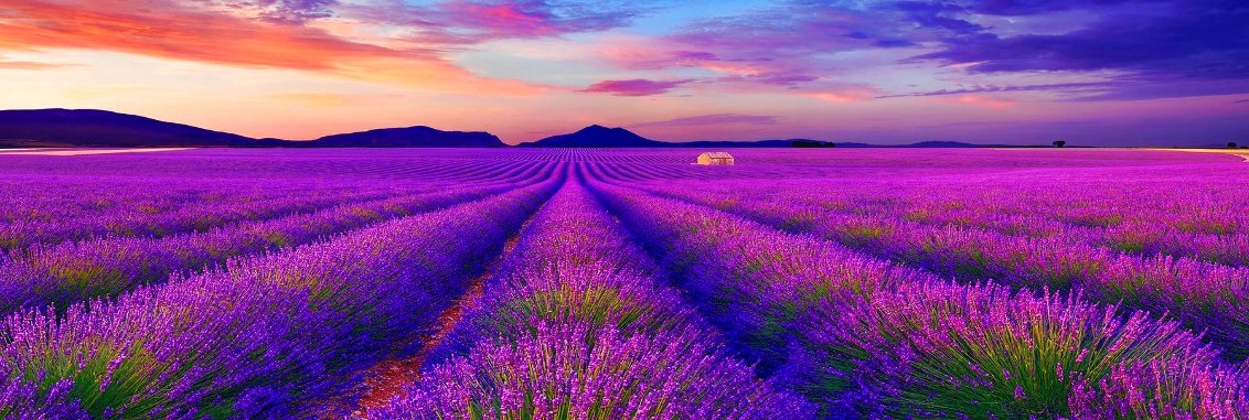 Le Reve 1M - Huge - Valensole, France Panorama by Peter Lik