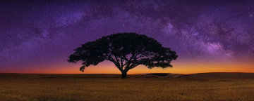 Celestial Dreams Panorama - Peter Lik Celestial Dreams Panorama - Peter Lik
