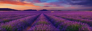 Le Rêve Panorama - Peter Lik Le Rêve Panorama - Peter Lik