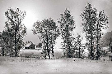 Christmas Morning 1.5M Huge! Panorama - Peter Lik Christmas Morning 1.5M Huge! Panorama - Peter Lik