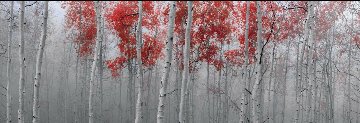 Scarlet Moods Super Huge!! Panorama - Peter Lik Scarlet Moods Super Huge!! Panorama - Peter Lik
