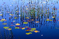 Lilies of the Pond 1,5m Panorama by Peter Lik - 0 Lilies of the Pond 1,5m Panorama by Peter Lik - 0