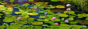Awaken Panorama - Peter Lik Awaken Panorama - Peter Lik