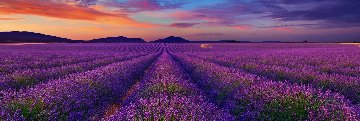 Let Rêve Panorama - Peter Lik Let Rêve Panorama - Peter Lik