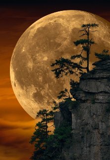Moonlit Dreams Panorama - Peter Lik Moonlit Dreams Panorama - Peter Lik