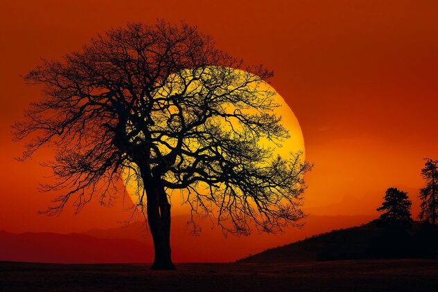 In Search of the Sun - Huge 1.5M - Centerville, Washington, state Panorama by Peter Lik