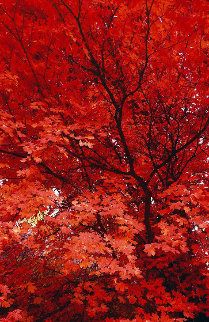 Zen (Ogden Valley Utah) Panorama - Peter Lik Zen (Ogden Valley Utah) Panorama - Peter Lik