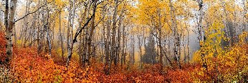 Autumn Mist 1.5M Huge! Panorama - Peter Lik Autumn Mist 1.5M Huge! Panorama - Peter Lik