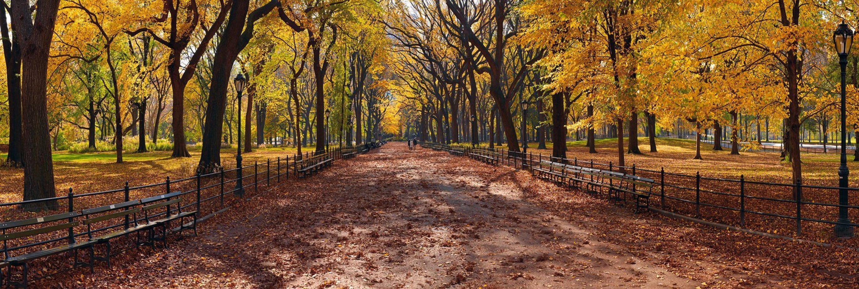 Central Park 1.5M Huge! Panorama by Peter Lik Central Park 1.5M Huge! Panorama by Peter Lik