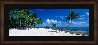 Escape 1.5M - Huge - Islamorada, Florida - Cigar Leaf Frame Panorama by Peter Lik - 1