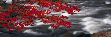 River of Zen 1.5M Huge! Panorama - Peter Lik River of Zen 1.5M Huge! Panorama - Peter Lik