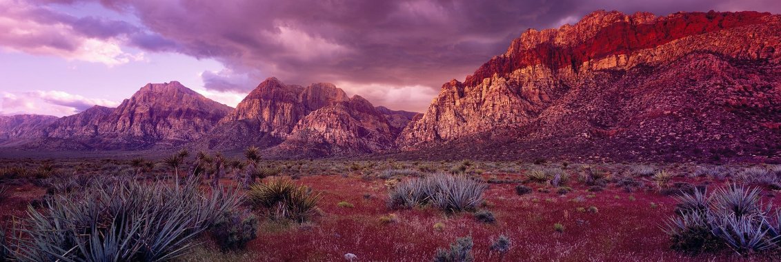Almighty 2M  -Huge Mural Size - Red Rock Canyon, Las Vegas, Nevada Panorama by Peter Lik