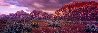 Almighty 2M  -Huge Mural Size - Nevada Panorama by Peter Lik - 0