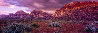 Almighty 2M  -Huge Mural Size - Nevada Panorama by Peter Lik - 1