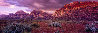 Almighty 2M  -Huge Mural Size - Red Rock Canyon, Nevada Panorama by Peter Lik - 1