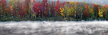 Misty River 1.5M Super Huge! Panorama - Peter Lik Misty River 1.5M Super Huge! Panorama - Peter Lik