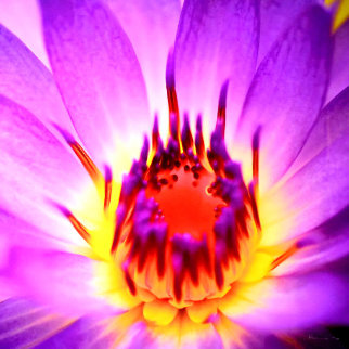 Eternal Flame Panorama - Peter Lik Eternal Flame Panorama - Peter Lik