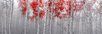 Scarlett Moods 2M Super Huge Panorama - Peter Lik Scarlett Moods 2M Super Huge Panorama - Peter Lik