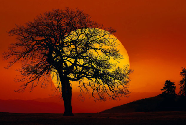 In Search of the Sun 1M  - Centerville, Washington Panorama by Peter Lik