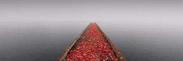 Secret Morning Panorama - Peter Lik Secret Morning Panorama - Peter Lik